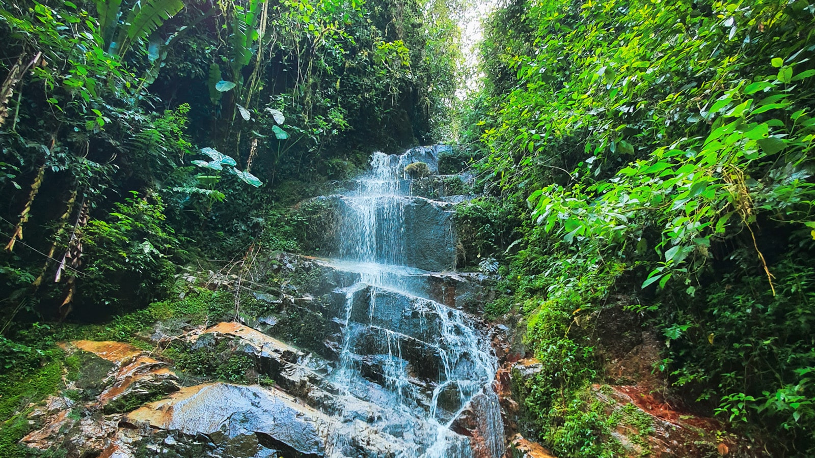 Parque El Diviso